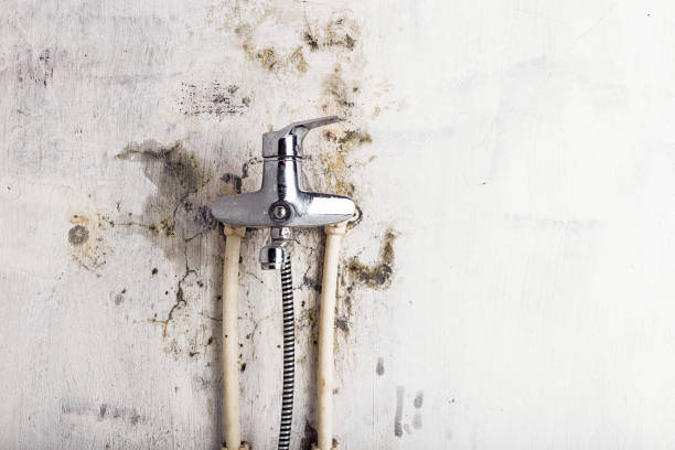 Water Damage Restoration in Cochranton, PA