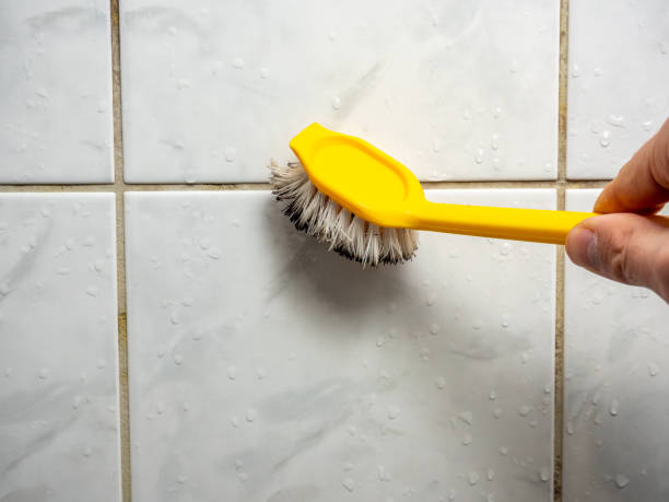 Best Mold Removal Company Near Me  in Cochranton, PA