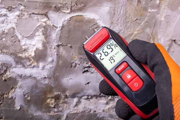 Best Fast Mold Removal  in Cochranton, PA