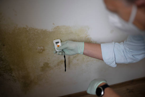 Office Mold Removal Services in Cochranton, PA