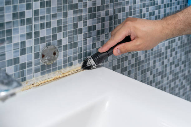 Best Toxic Mold Removal  in Cochranton, PA